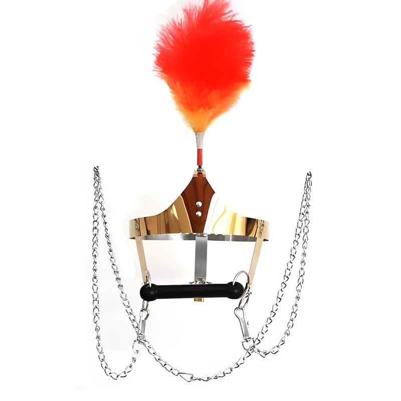 Pony harnais cage de tête doré avec bit gag