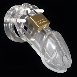 Cage de chasteté CB-6000