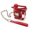 Laisse et collier avec ball gag rouge