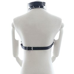 Harnais de bondage pour la poitrine avec ring gag et pince-tetons