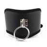 Collier minerve simili cuir noir et sa laisse