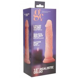 Dildo réaliste 20cm  x 4.5 cm à ventouse