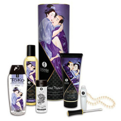 Coffret Shunga Plaisirs Charnels - 6 accessoires | Nedgy