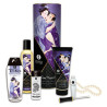 Coffret Shunga Plaisirs Charnels - 6 accessoires | Nedgy