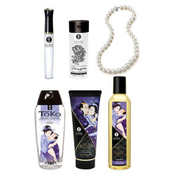 Coffret Shunga Plaisirs Charnels - 6 accessoires | Nedgy