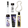 Coffret Shunga Plaisirs Charnels - 6 accessoires | Nedgy