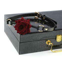 Coffret BDSM Blackbox 7 pièces avec mallette | Nedgy