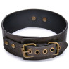 Collier-laisse cuir vieilli Vintagy marron | Nedgy