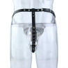 Ceinture de chasteté Vulvimouth acier | Nedgy