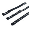 Ceinture de chasteté Grille Belt ajourée | Nedgy