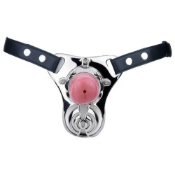 Ceinture de chasteté Sleedick L acier 9,5 cm | Nedgy
