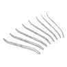 Kit tiges urètre courbées end Curve 8 pièces | Nedgy