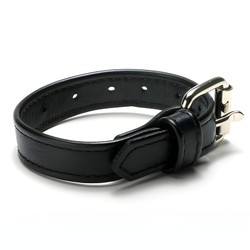 Cock ring ceinture