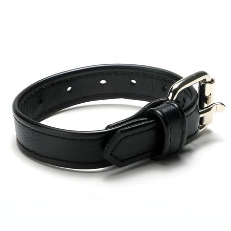 Cock ring ceinture